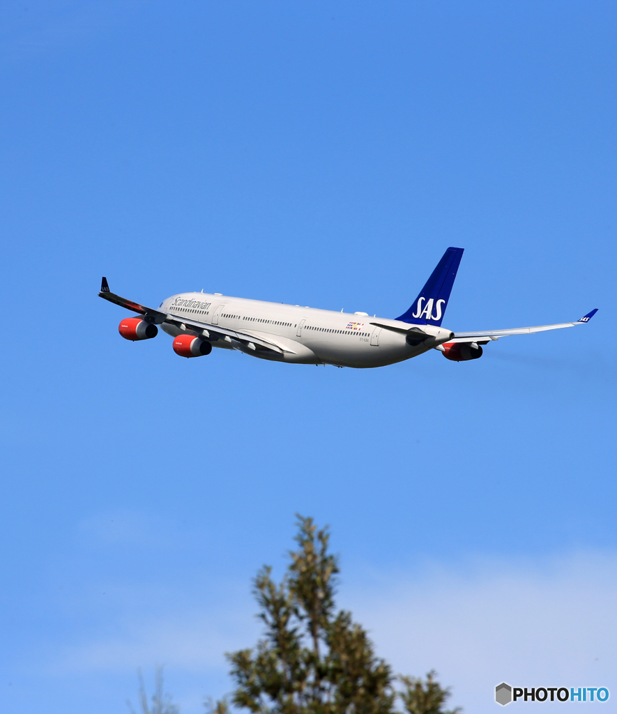  「晴れ」SAS A340-313 OY-KBA Takeoff  