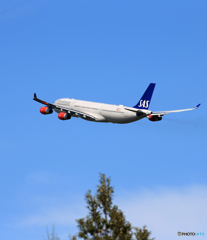  「晴れ」SAS A340-313 OY-KBA Takeoff  