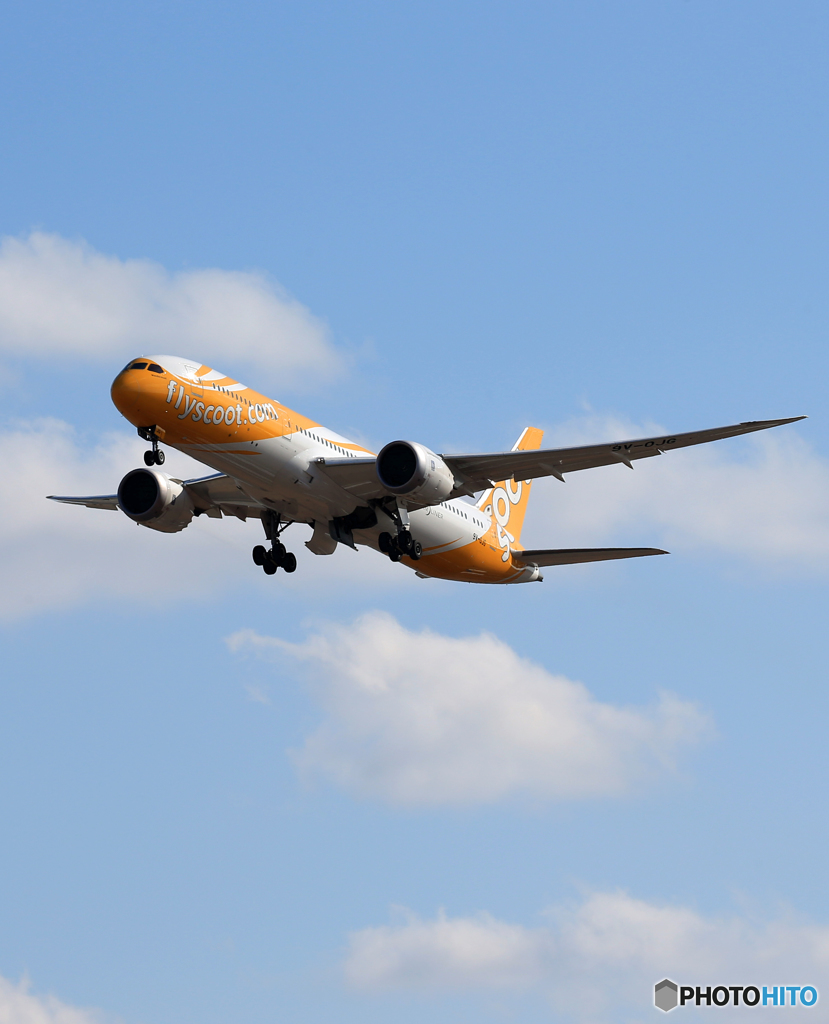 「SKY」 scoot 787-9 9V-OJG 飛行