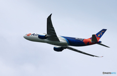 「☁」Air Calin A330-941 F-ONEO  Takeoff  