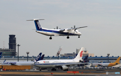 「青」ANA ボンバル DHC-8-400 JA858A Landing 