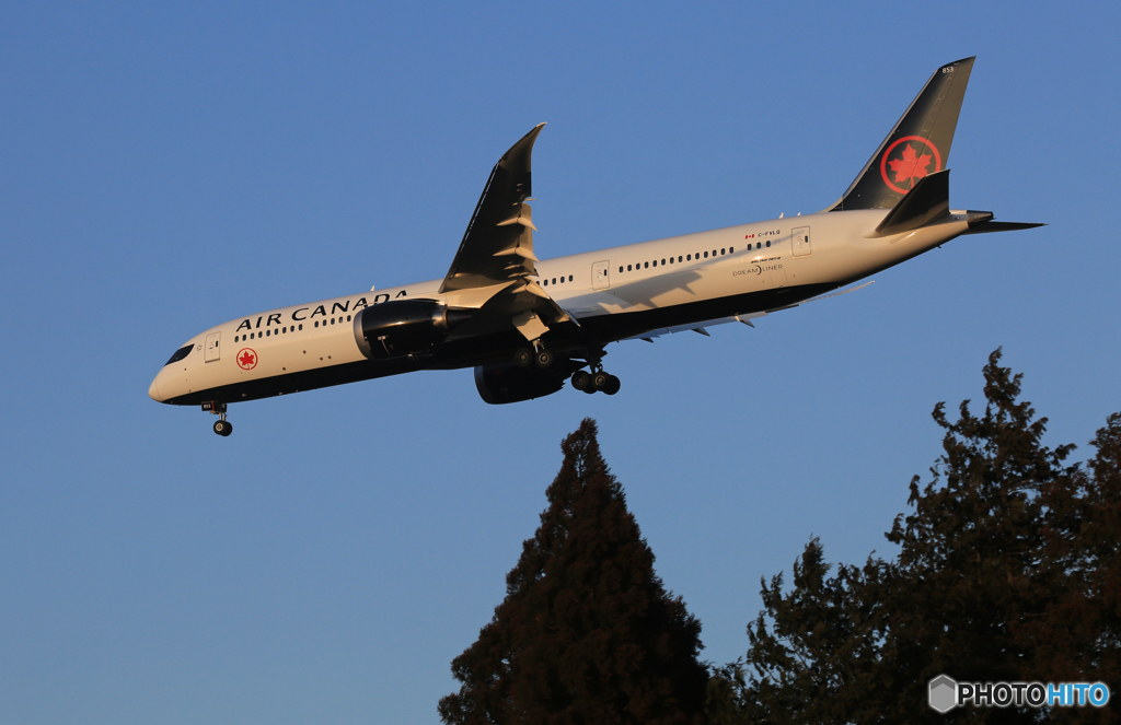 「ぶるー」 Air Canada 787-9 C-FVLQ 新塗装着陸