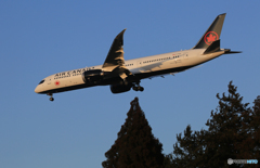  「ぶるー」 Air Canada 787-9 C-FVLQ 新塗装着陸