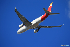 「群青」 IBERIA スペイン A330-202 離陸