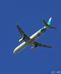 「青色が好き」Air Seoul A321-231 HL8281