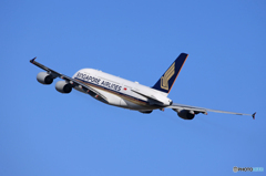 「群青色」シンガポール航空A380-841 飛行