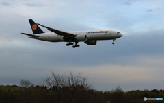 「晴れ」 Lufthansa 777 D-ALFC  Landing