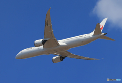 「青い日」 JAL 787-9 JA871J 離陸