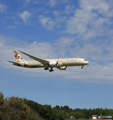 「青が好き」 ETIHAD 787-9 A6-BLP Landing