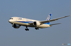 「ブルー」 ANA 787-9 JA871A 到着