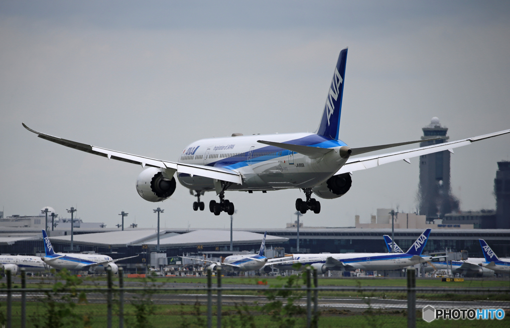 「☁」 ANA 787-9 JA886A   着陸します