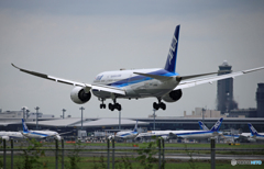 「☁」 ANA 787-9 JA886A   着陸します