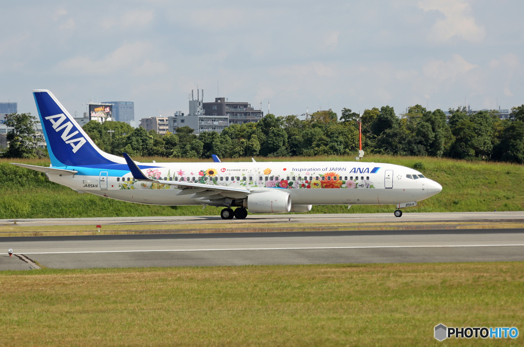 ✈初めての聖地巡礼に　フラワージェット