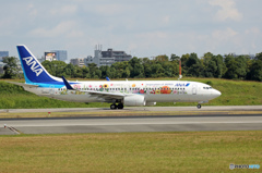 ✈初めての聖地巡礼に　フラワージェット