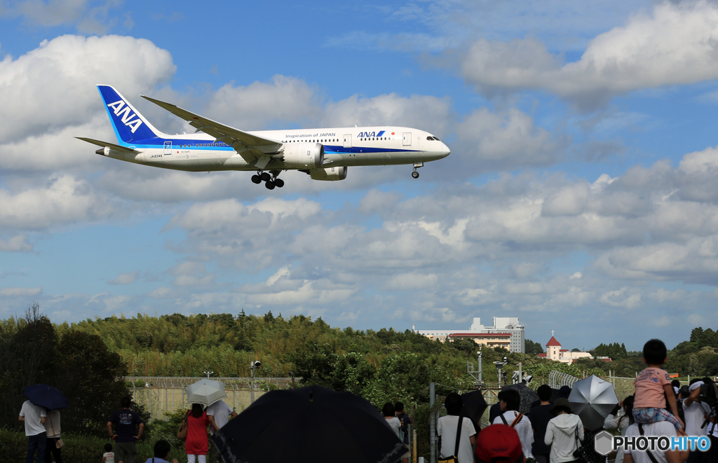 「真青の空」 ANA 787-8 JA834A 来たよ-