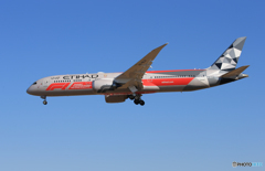 「群青色」 Etihad F-1 特別塗装787-9 着地前