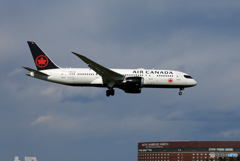 「青色が好き」Air Canada 787-8 C-GHPQ  Landing