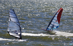 「淡い海」スピード感が大切ですね  (2)