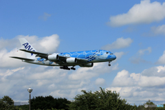 「SKY」いつもの顔なんですがチョット違う Flying Honu