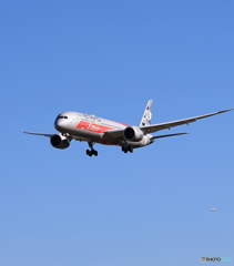 「すかい」 Etihad 787-9  Landing F-1 塗装機