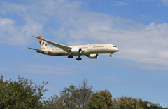 「すかい」 ETIHAD 787-9 A6-BLP Landing