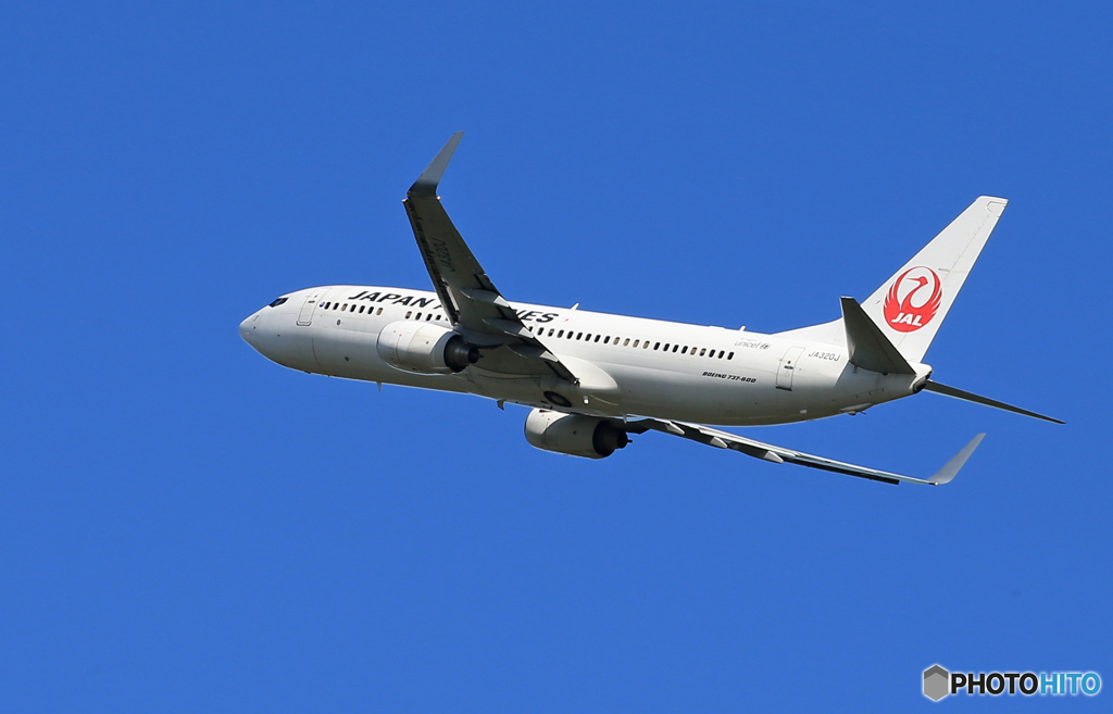「青い空」が一番 JAL 737-800 JA320J ☀