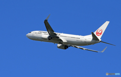 「青い空」が一番 JAL 737-800 JA320J ☀