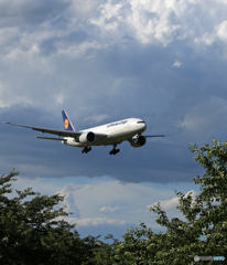 「青色が好き」 Lufthansa 767 D-ALFE 到着