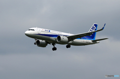 「曇り」 ANA A320-271 JA216A Landing 