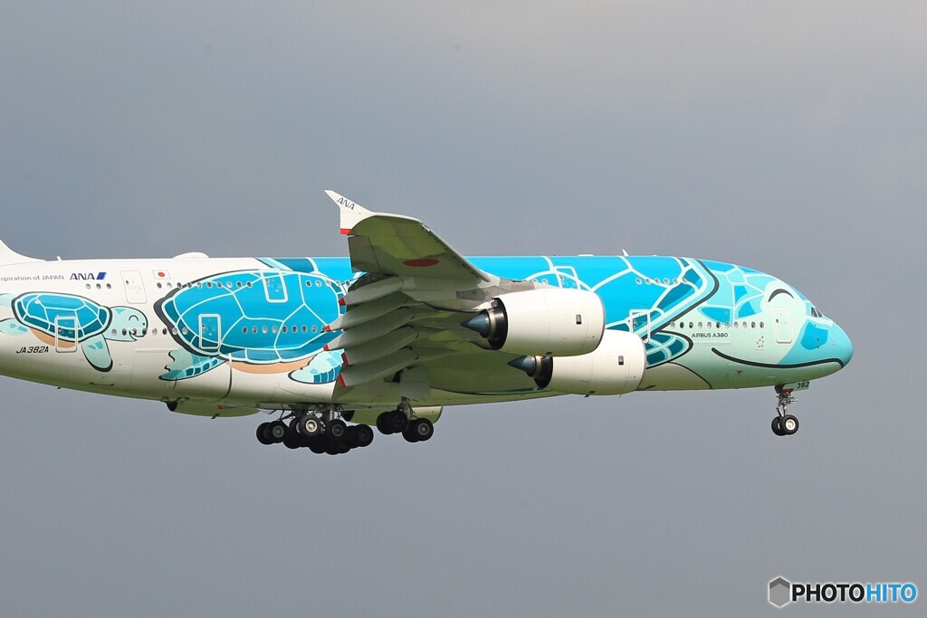 「青色が好き」 Flying Honu  A380-841 着陸です