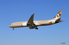 ☀「青い空」が一番 ETIHAD 787-9 到着