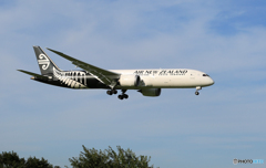 「真青の空」 AIR NZ' 787-9 ZK-NZG着地前