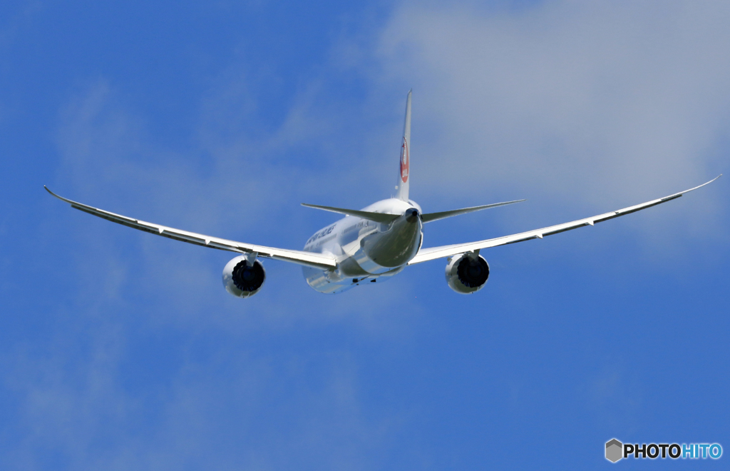 [青い空]　JAL 787-9 JA873J 飛行