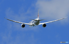 [青い空]　JAL 787-9 JA873J 飛行