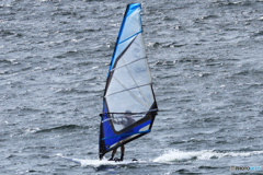 「青が好き」良い風が吹いて来た