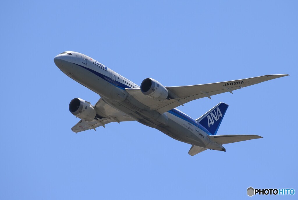 「青が大好き」ANA 787-8 JA828A Takeoff