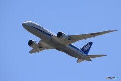 「青が大好き」ANA 787-8 JA828A Takeoff