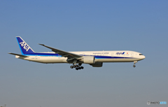 「青が好き」 ANA 777-381 JA787A Landing