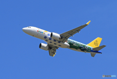 「すかい」 ROYAL BRUNEI A320-251 飛び立ち