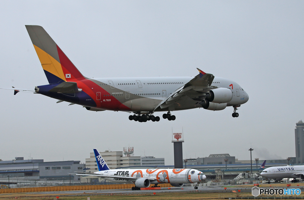 「雨」 ASIANA A380-841 HL7626 到着です