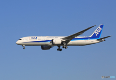 「青色が好き」 ANA 787-9 JA836A 到着