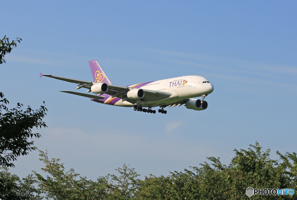 「はれー」 Thai A380-841 HS-TUB 到着