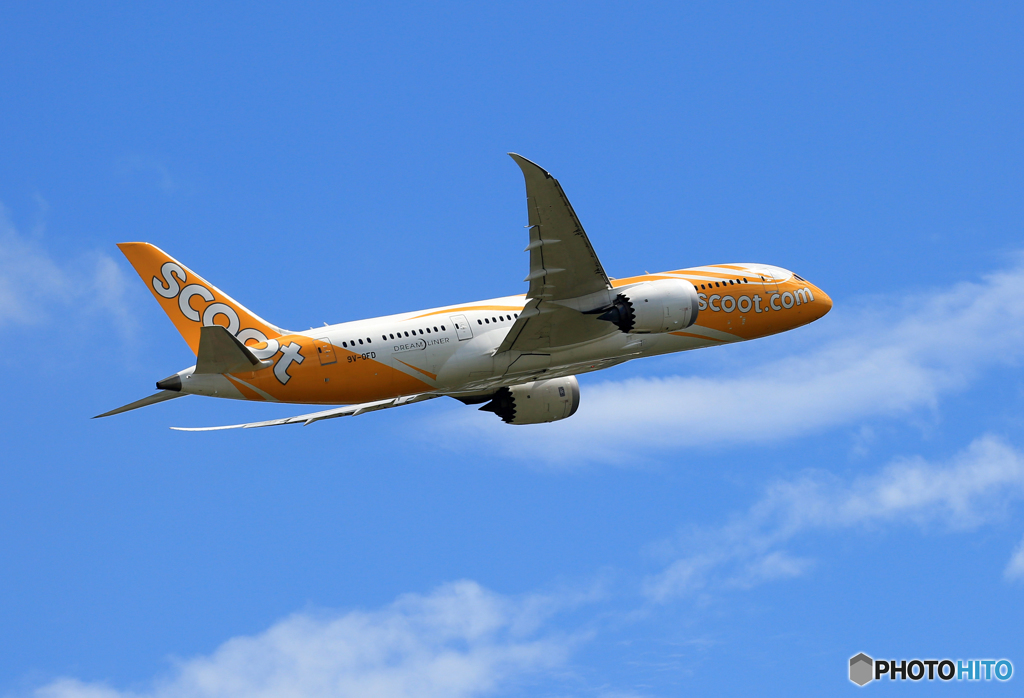 「SKY」 scoot 787-9 9V-OFD Takeoff