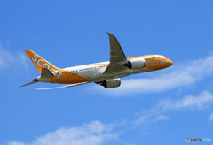 「SKY」 scoot 787-9 9V-OFD Takeoff