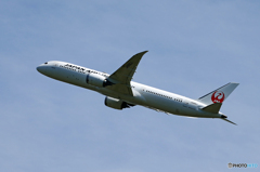 「すかい」JAL  787-9  JA866J   出発です 