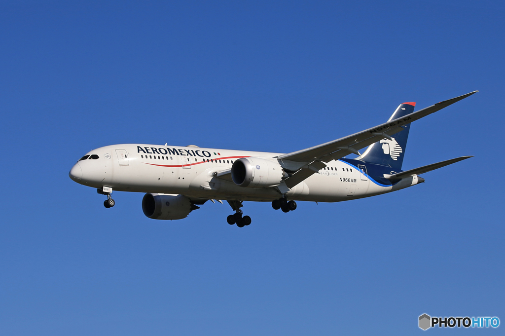  「青が好き」AEROMEXICO 787-8 N966AM  Landing　