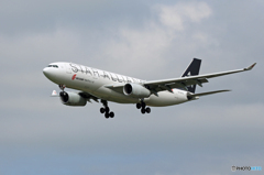 「曇り」 China スタアラ A330 B-6075  Landing