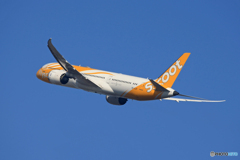 ☀「青い空」が一番 scoot 787-9 9V-OJF離陸