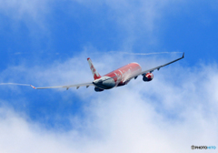 「良い天気」 Air Asia A330 離陸 べいぱー 