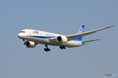 「良い空～」 ANA 787-9 JA871A Landing